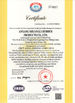 China Henan Shuangli Rubber Co., Ltd. certificaten